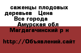 саженцы плодовых деревьев › Цена ­ 6 080 - Все города  »    . Амурская обл.,Магдагачинский р-н